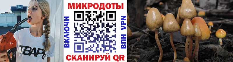 Купить где  Асино  Псилоцибиновые грибы Magic Shrooms 